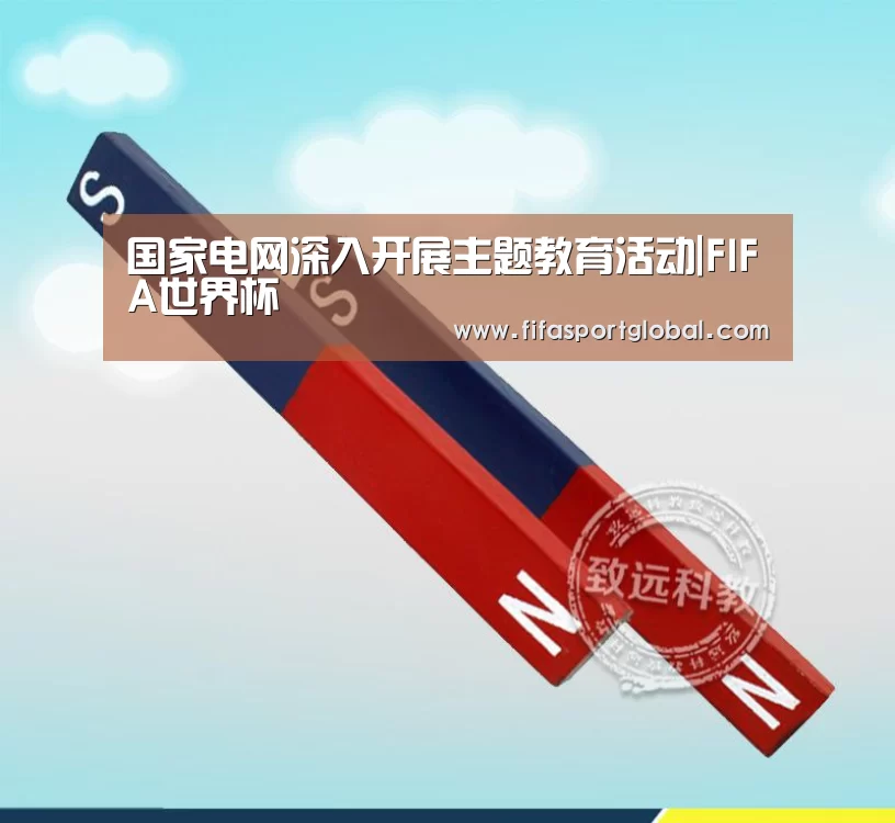 国家电网深入开展主题教育活动|FIFA世界杯