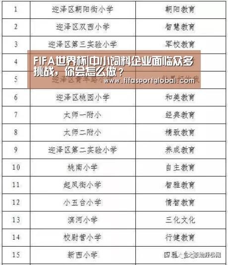 FIFA世界杯