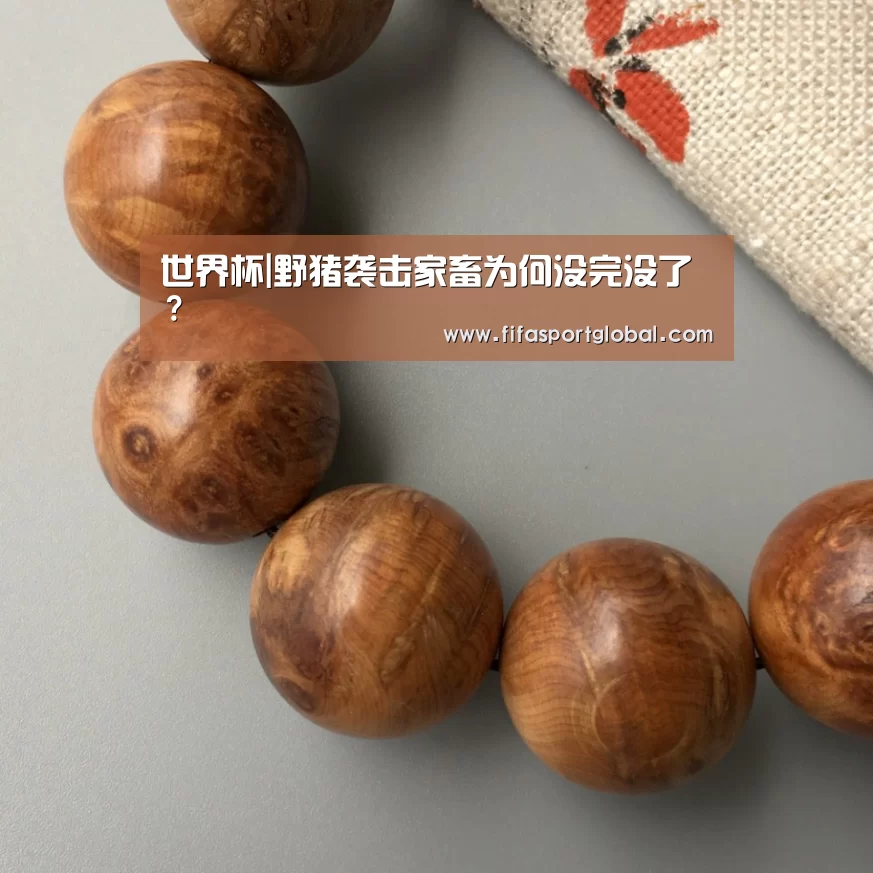 世界杯官网