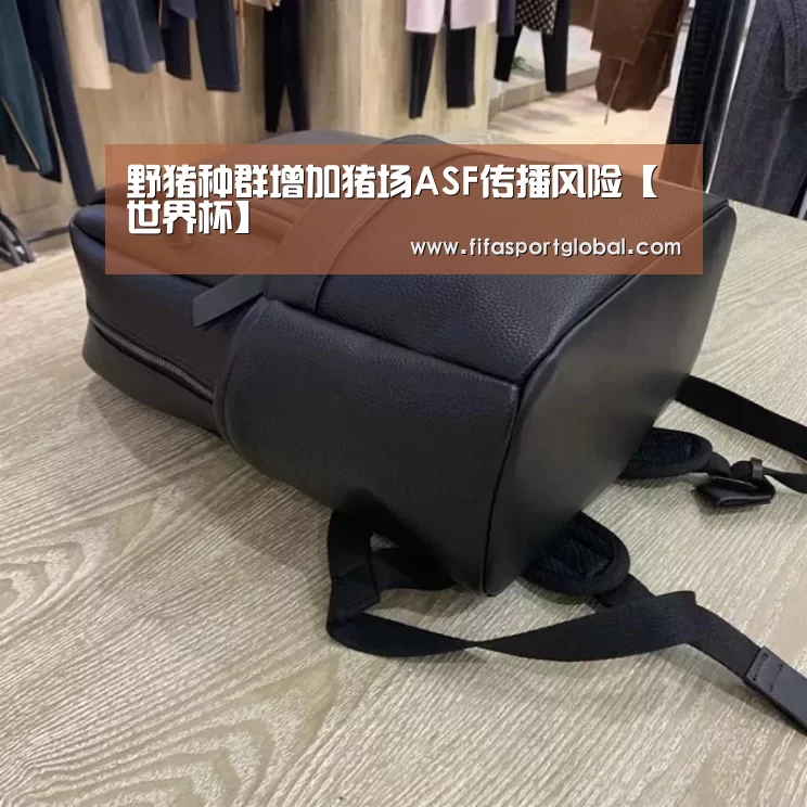 野猪种群增加猪场ASF传播风险【世界杯】(图1) 世界杯官网